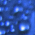 赤坂サカス 冬季イベント屋外スケートリンク「White Sacas ALPHARD RINK」（関東,東京,港区,赤坂）