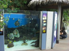 水遊び公園もある淡水魚水族館-なかがわ水遊園おもしろ魚館