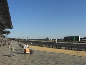 日本中央競馬会(JRA)東京競馬場の紹介