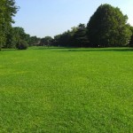 バーベキュー広場と夏の緑が美しい-都立野川公園（関東東京都小金井）