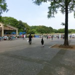 レイクサイドレストランのカレー、焼き鳥丼、お子様セット　国営昭和記念公園（東京都立川）