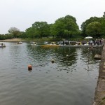 貸しボート遊び　国営昭和記念公園（東京都立川）