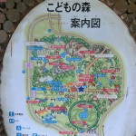 滑り台で遊びたいなら 新アトラクション『森のとりで』 　国営昭和記念公園（東京都立川）