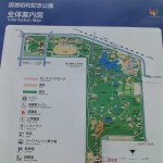 爽快！国営立川昭和記念公園レンタサイクルでサイクリングコースを走ってみた。（関東東京立川）